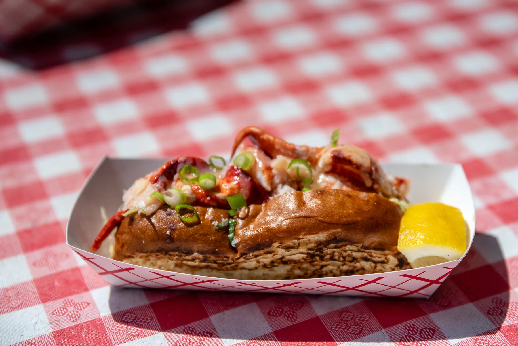 2019 - 08 Aug - Lobster Fest - for web-5.jpg