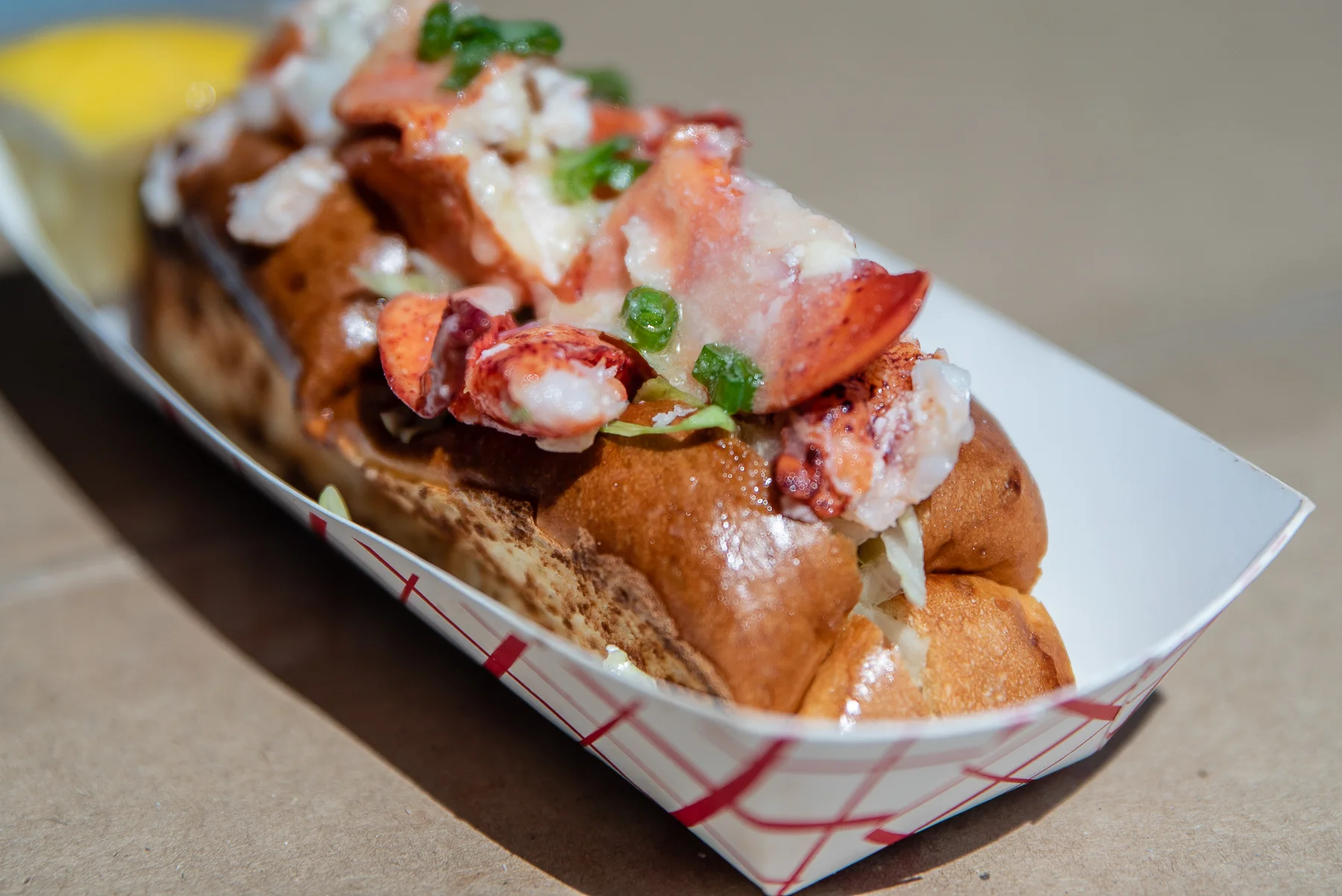 2019 - 08 Aug - Lobster Fest - for web-51.jpg