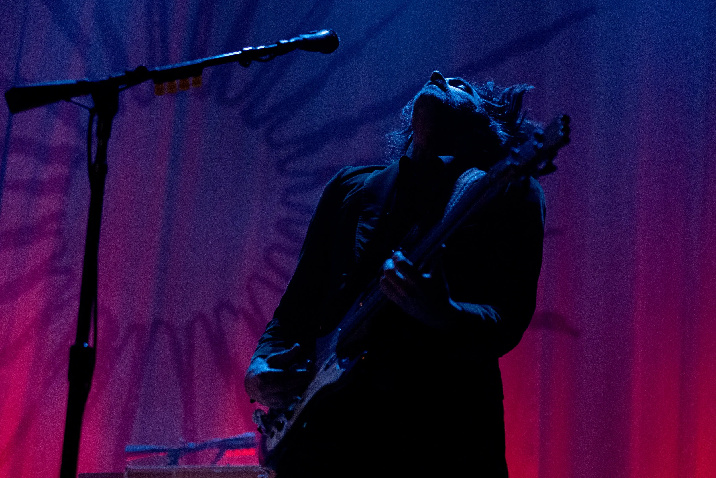 2020 - 02Feb - Grace Potter - 5.JPG