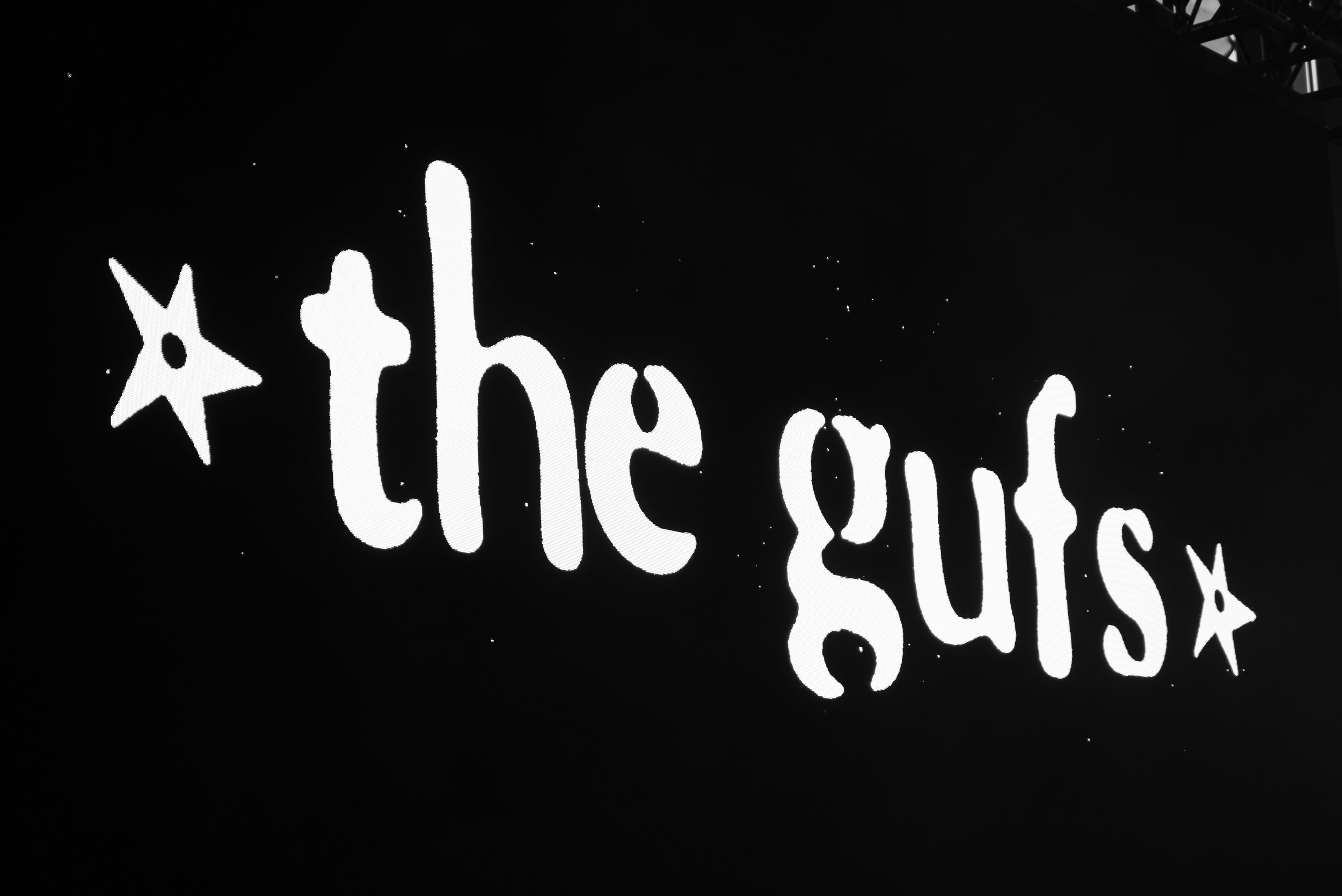 2025 - 07July52025 - The Gufs - Summerfest-5.jpg