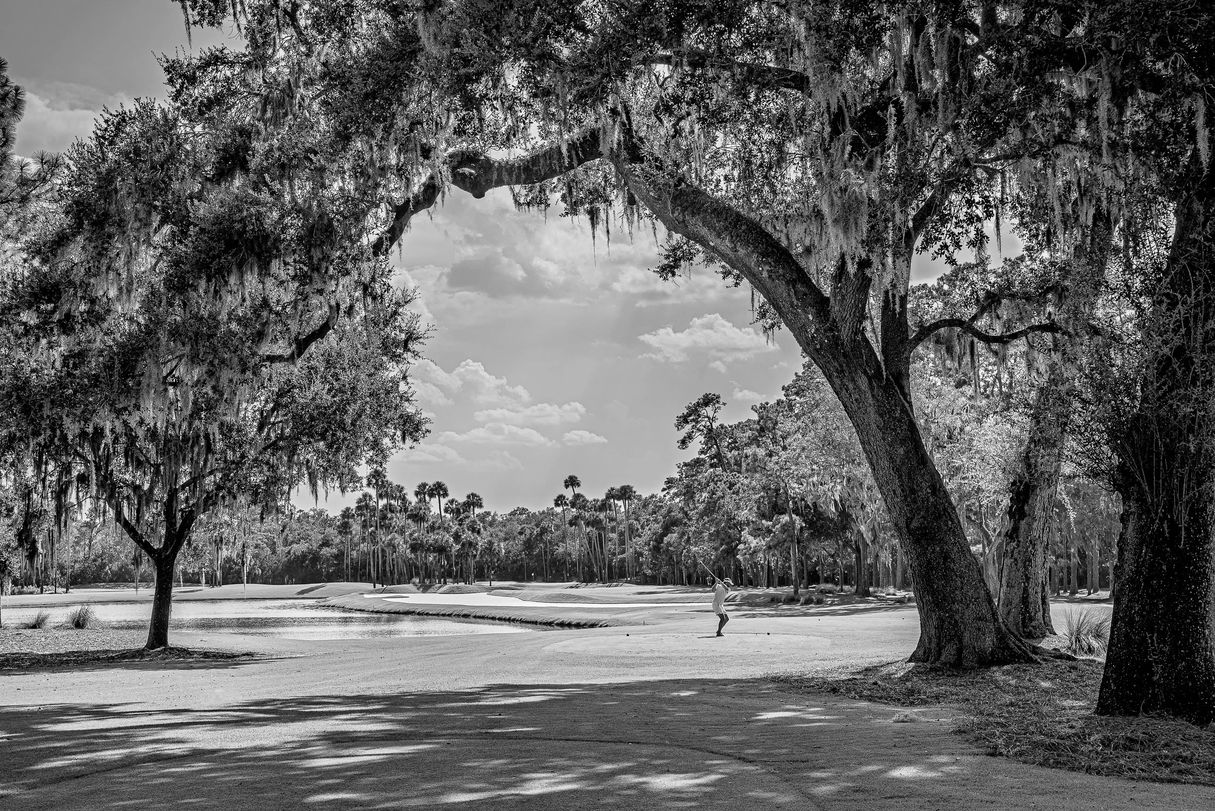 2026 - Sawgrass-40-Matt.jpg