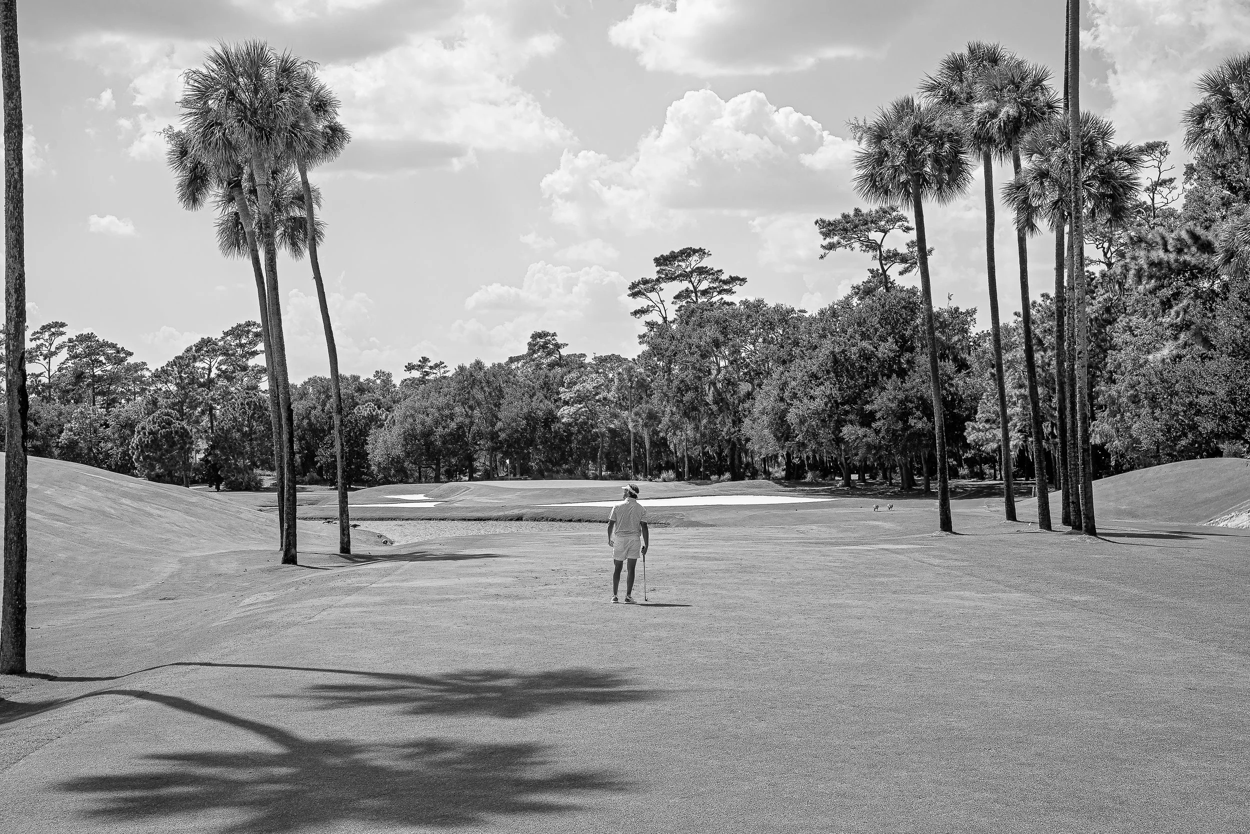 2026 - Sawgrass-36-Matt.jpg
