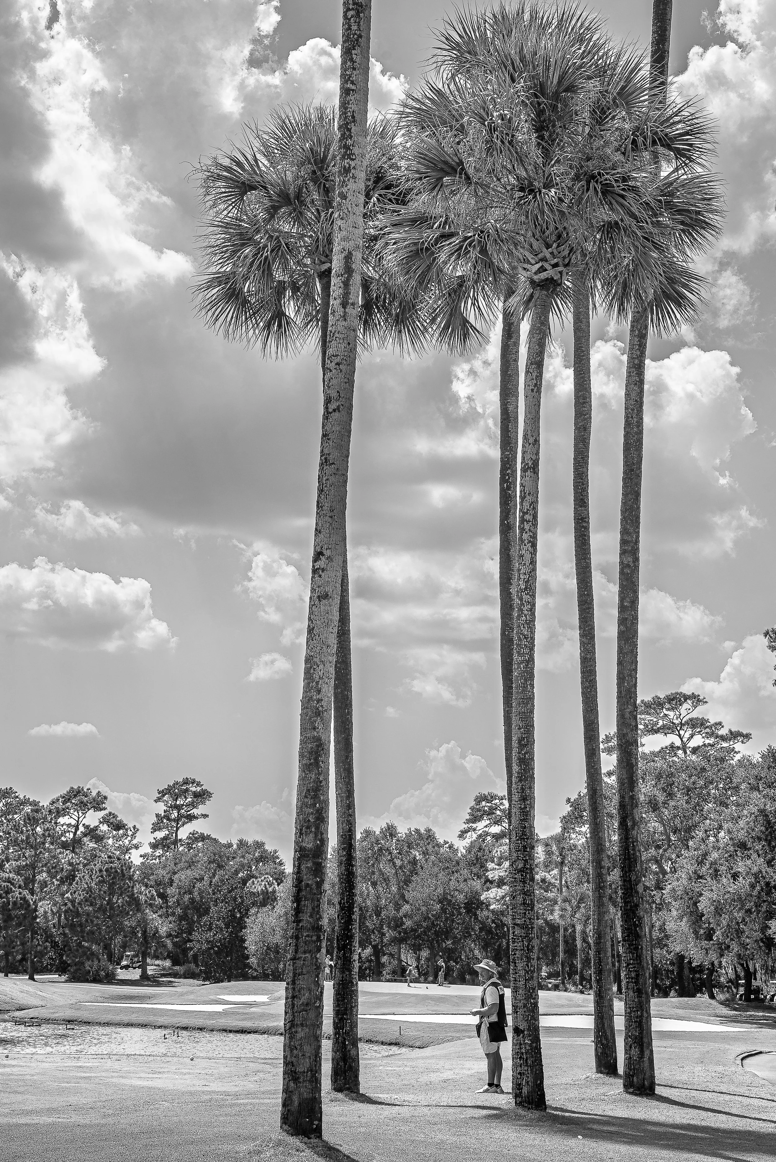 2026 - Sawgrass-34.jpg