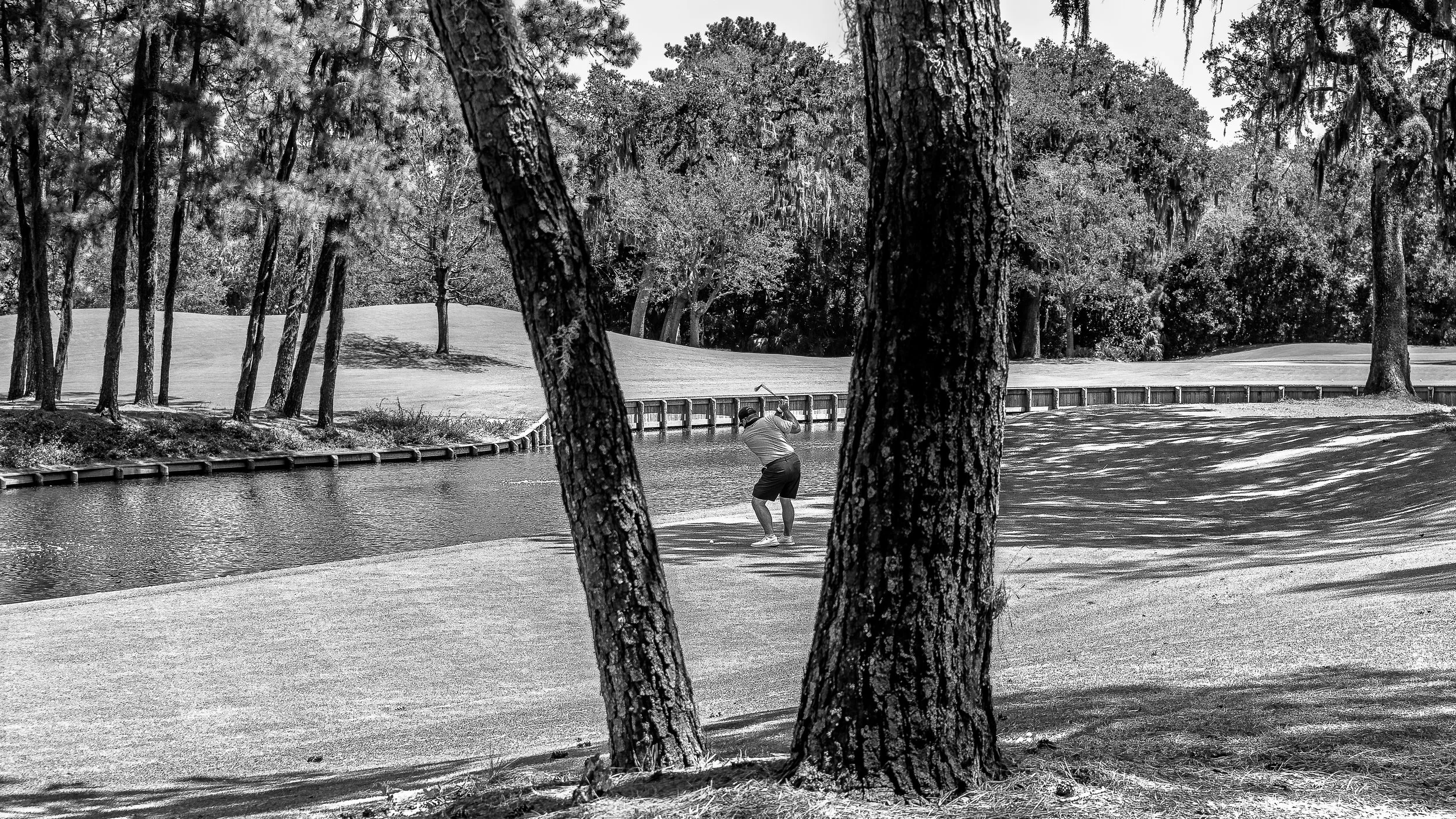 2026 - Sawgrass-25-Bill.jpg