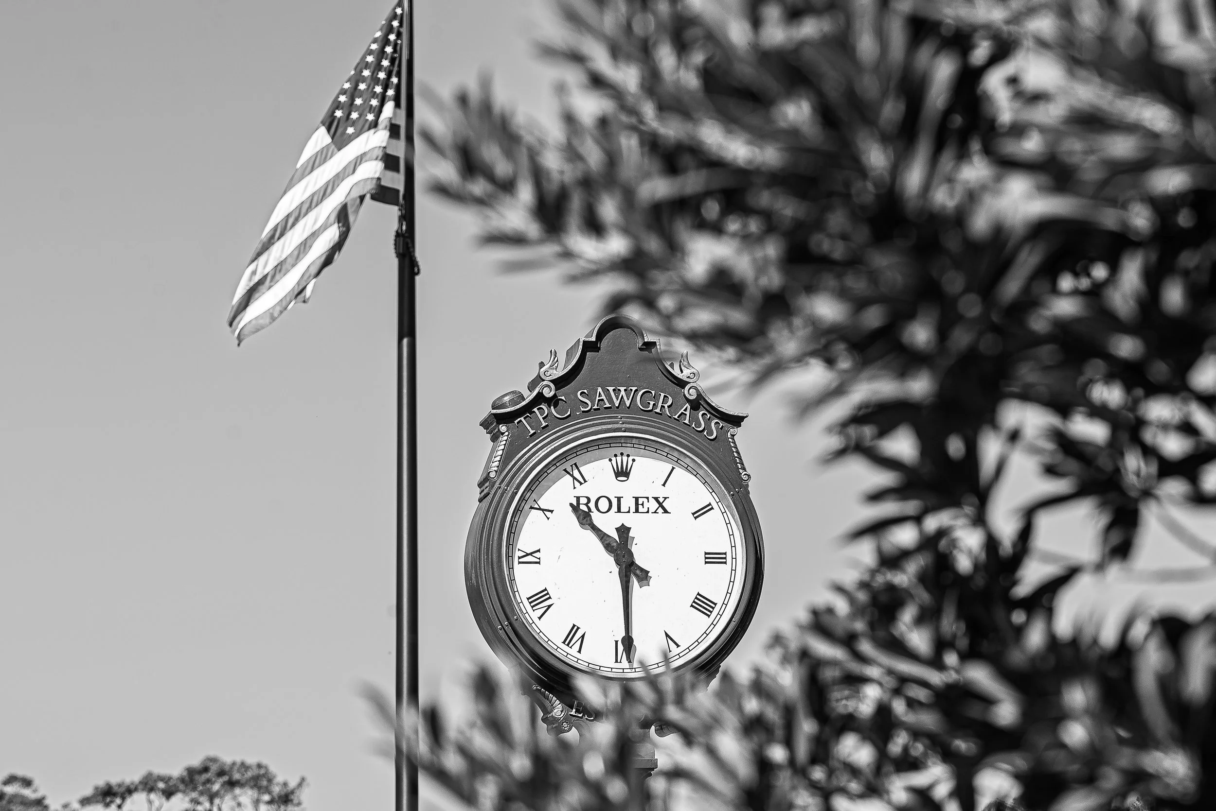 2026 - Sawgrass-15.jpg