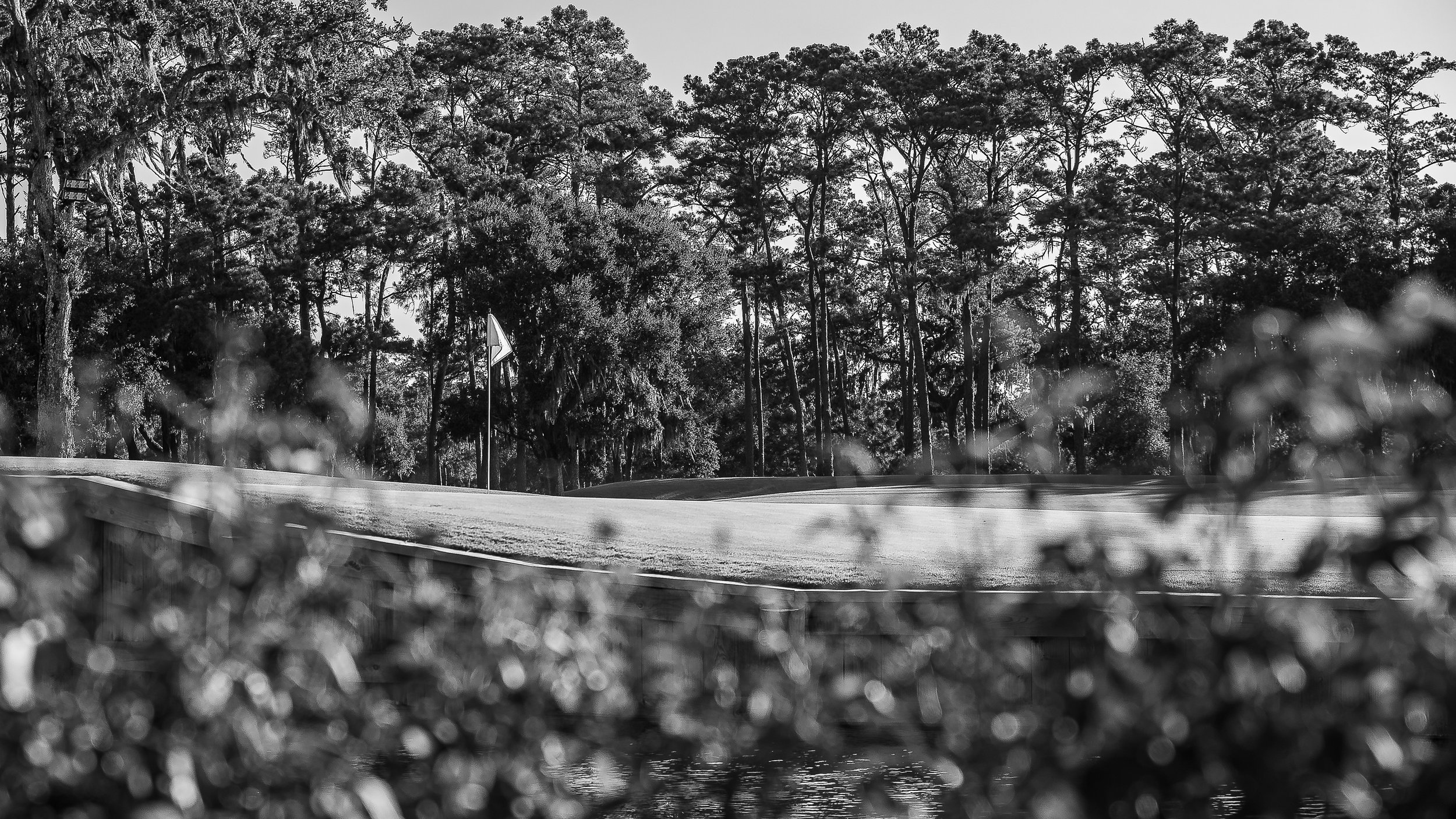 2026 - Sawgrass-12-x.jpg