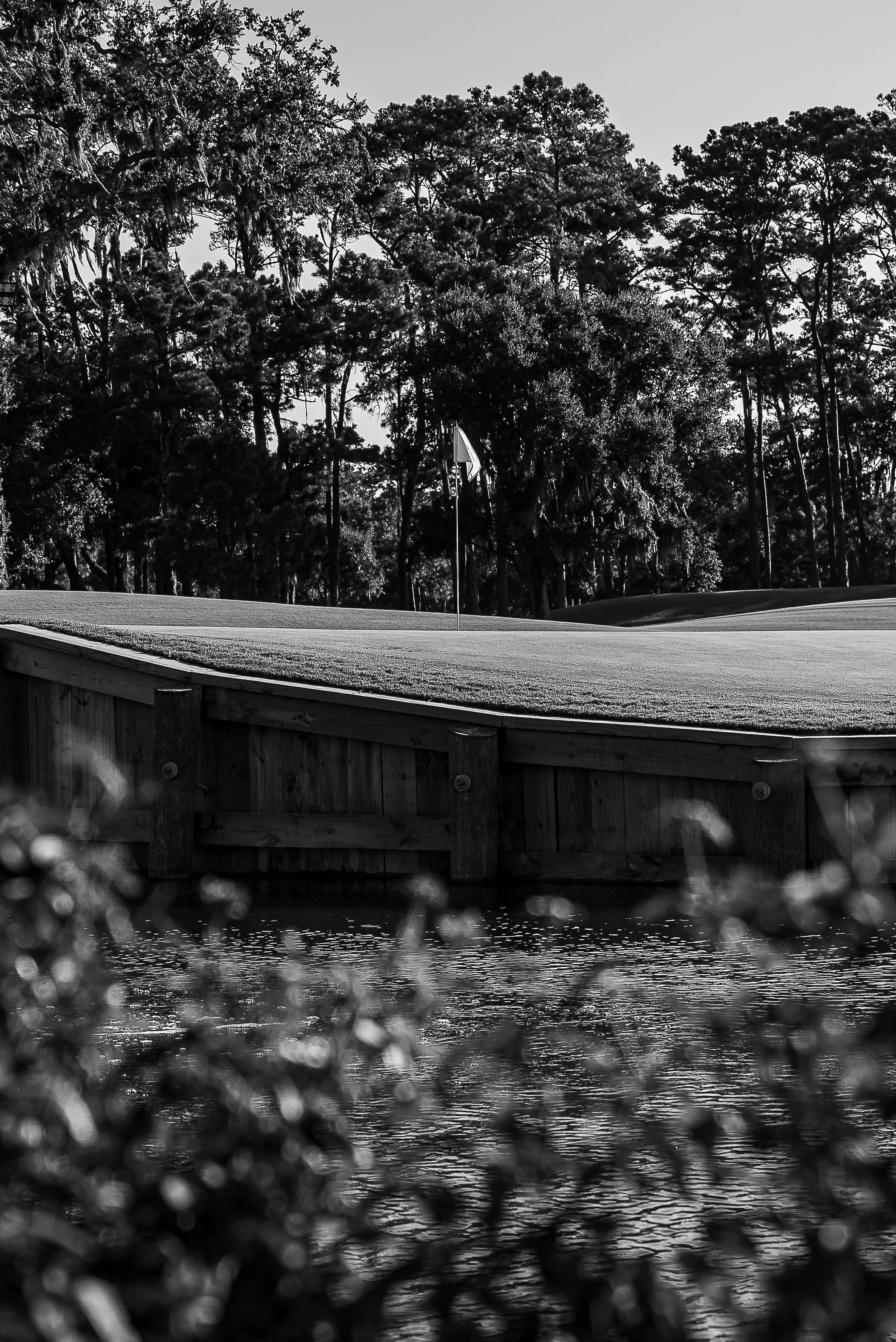 2026 - Sawgrass-13-x.jpg