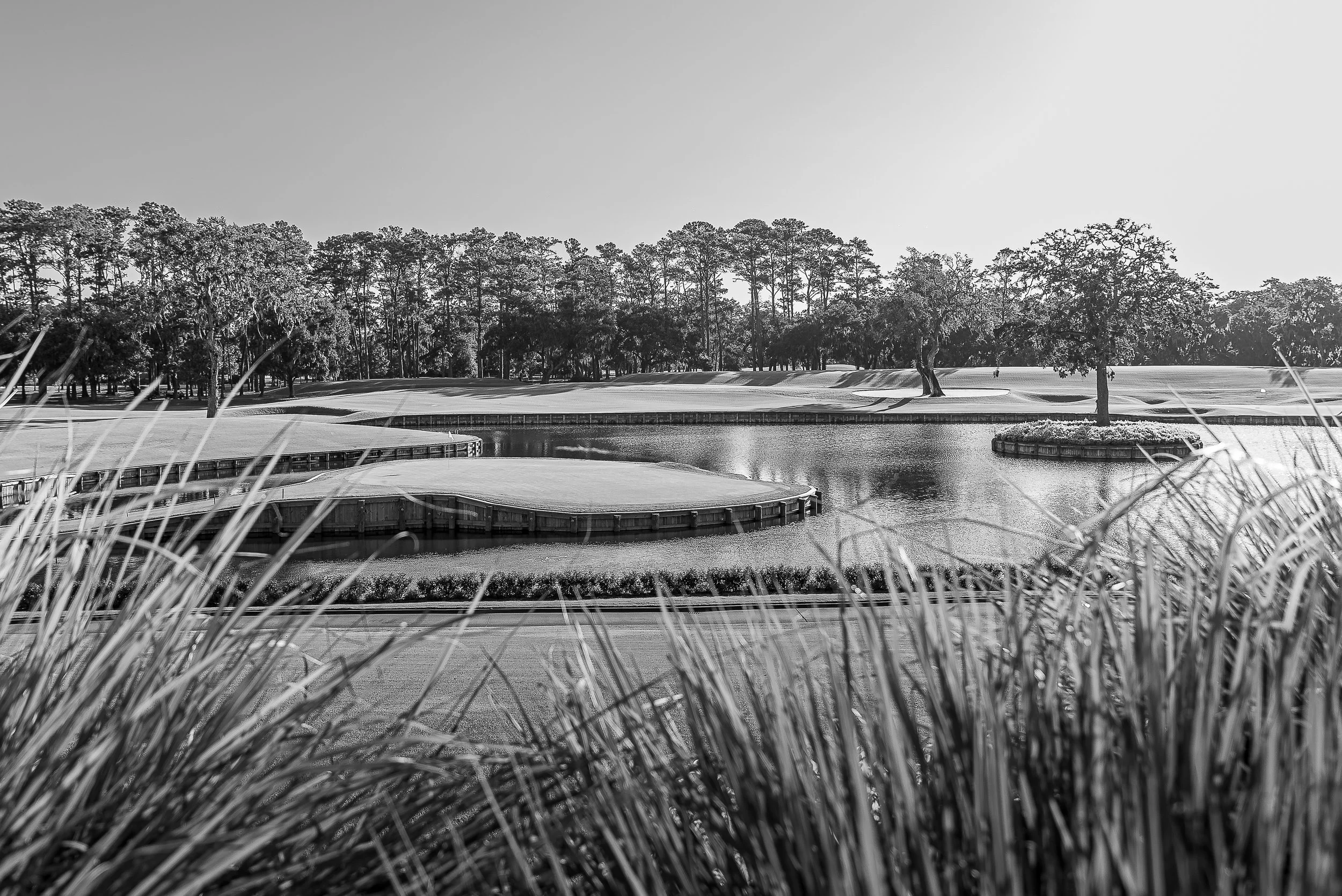2026 - Sawgrass-11.jpg
