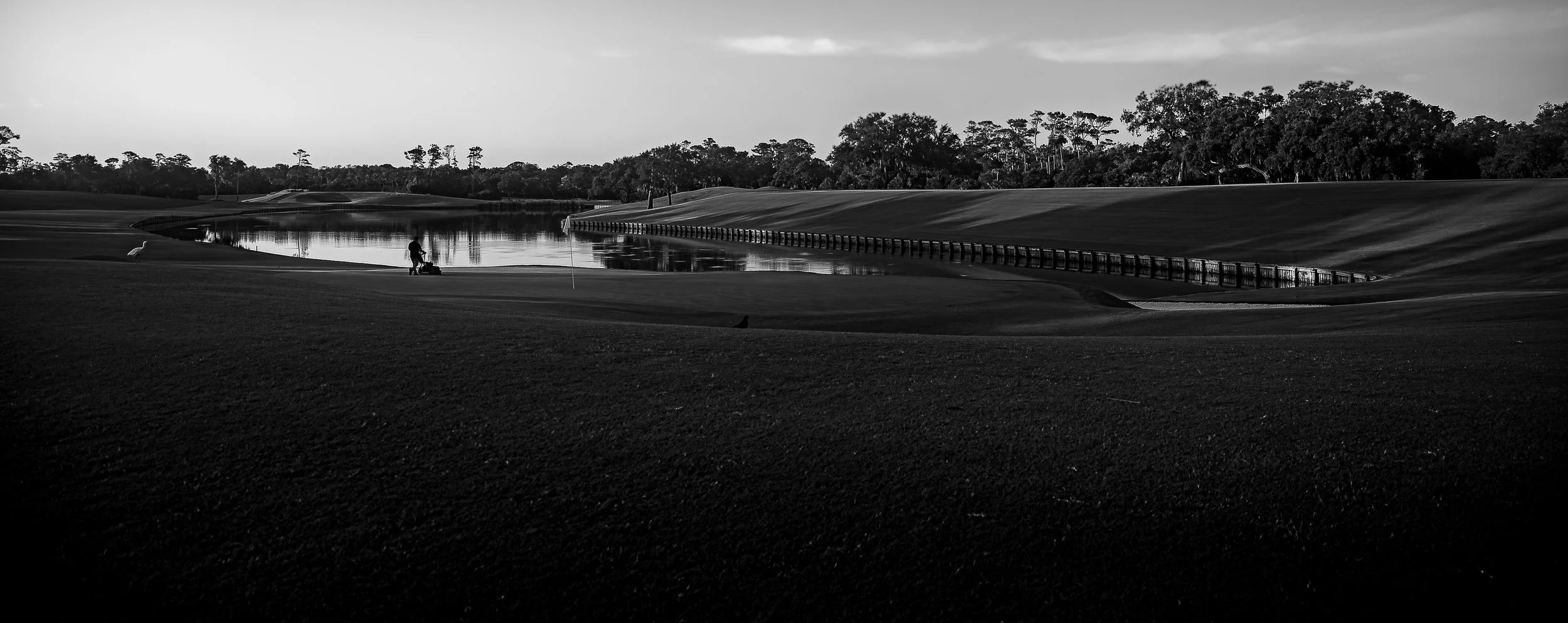 2026 - Sawgrass-x.jpg