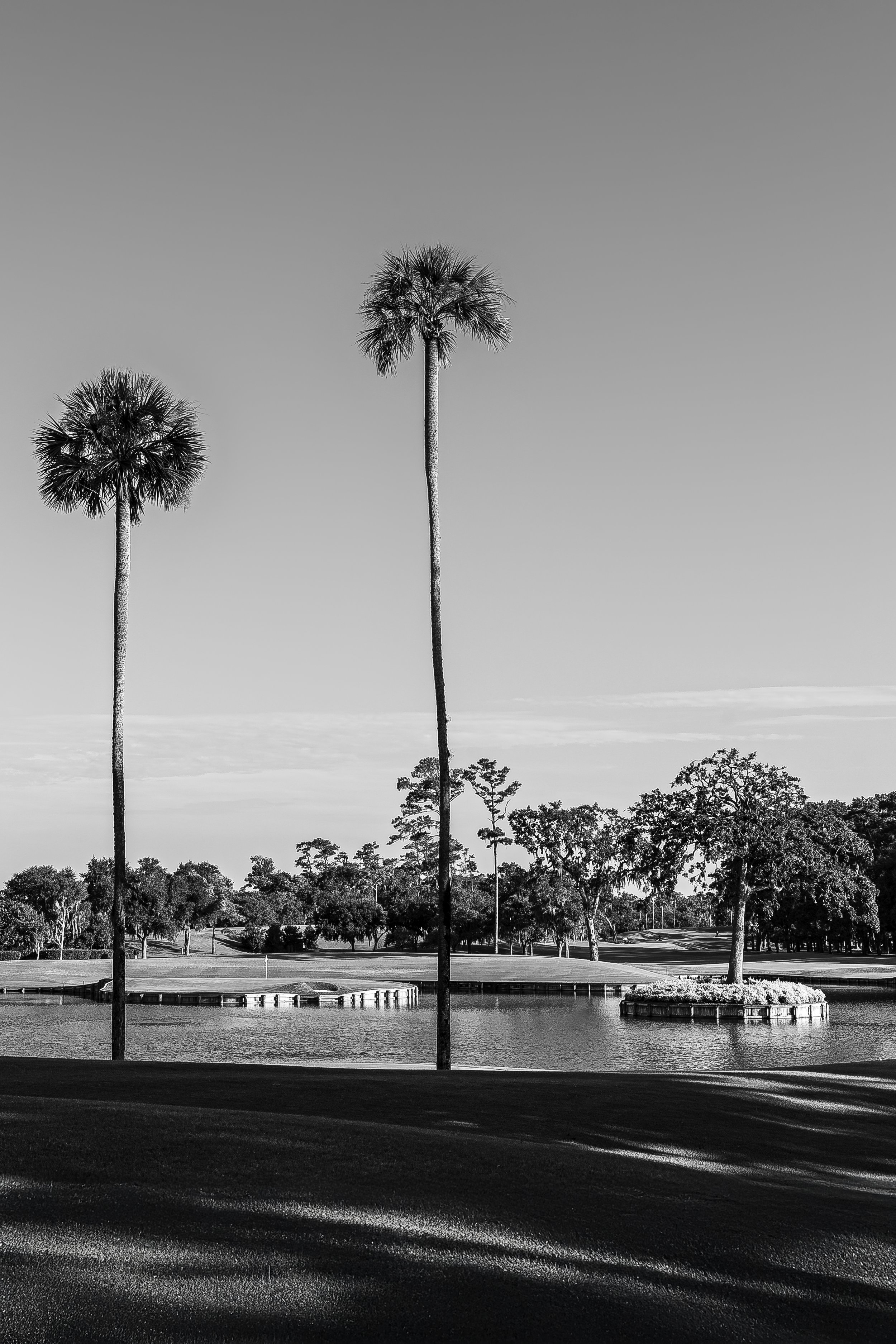 2026 - Sawgrass-6-2.jpg