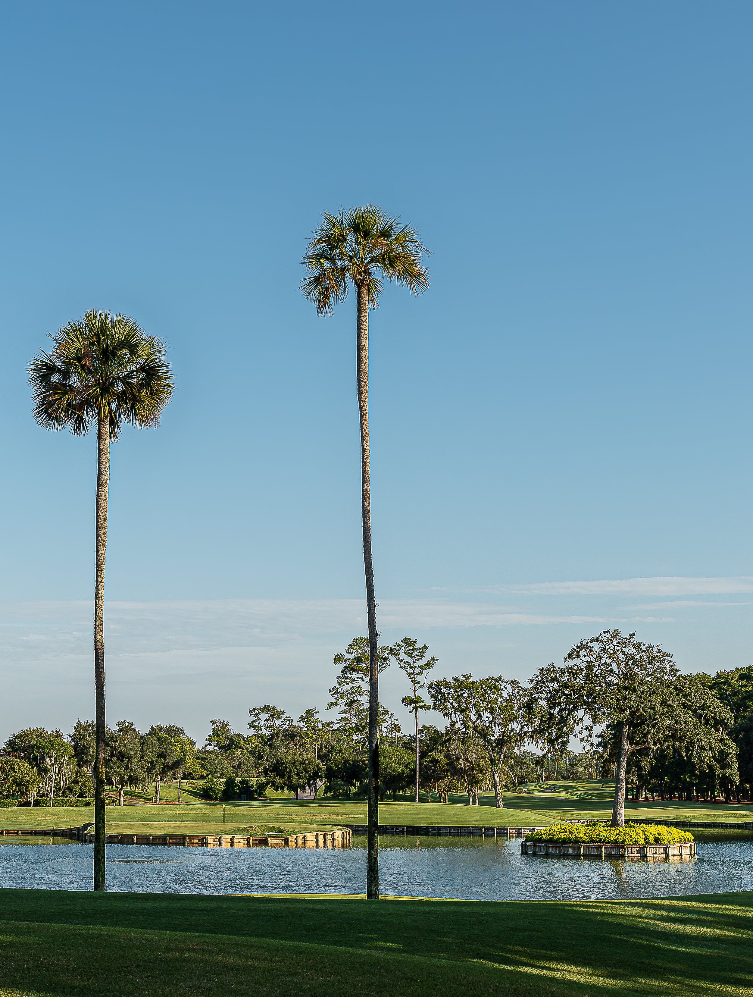 2026 - Next 18 - Sawgrass camp-103.jpg