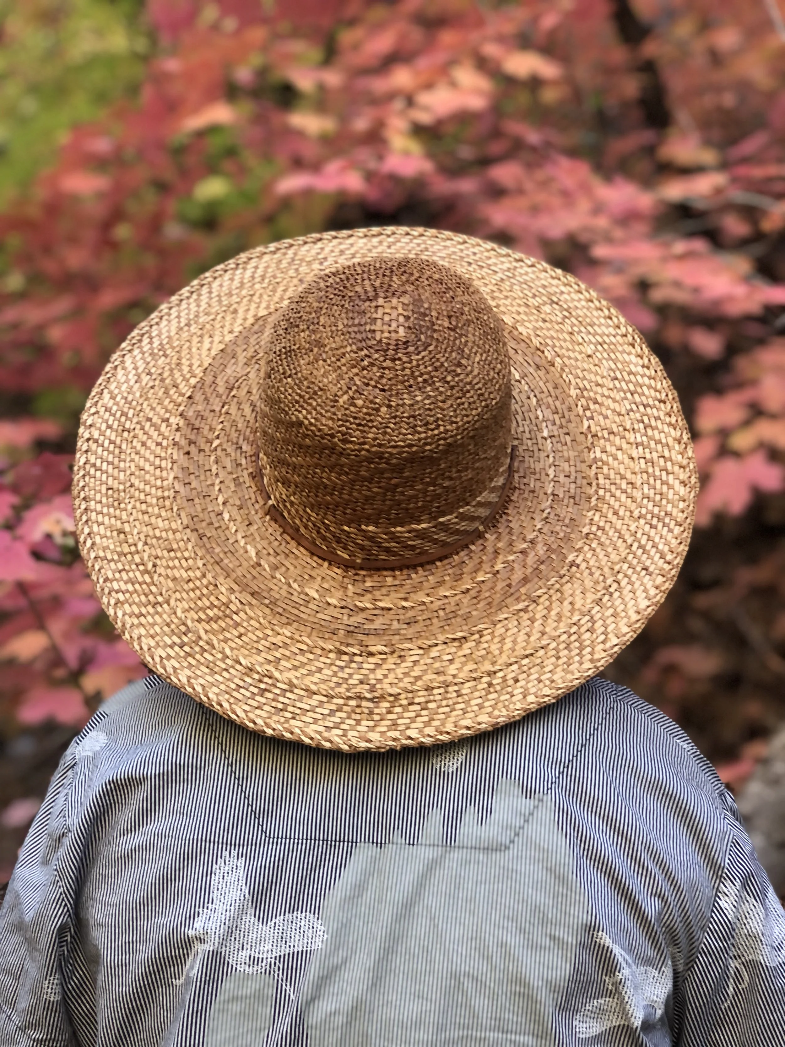 sofias hat.jpeg
