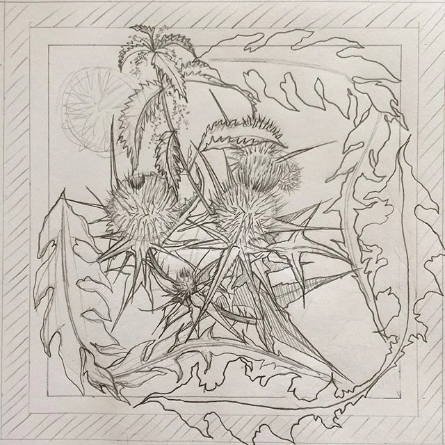 Scanning Irish hedgerows for the right botanical inspiration. Too much beauty to choose from!! #ireland #irishhedgerows #art #botanicalart #linoprint #linoblock #printmaking #sketch #australianartist #kilkenny #printmaker #blackstackstudio #fineartpr