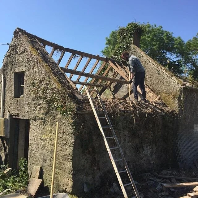 Progress😬 and a nice little surprise (besides the many 🕷 ones). It&rsquo;s hard to take anything down off these old buildings but necessary to protect and bring it into a liveable state so they can be around for many more years to come!