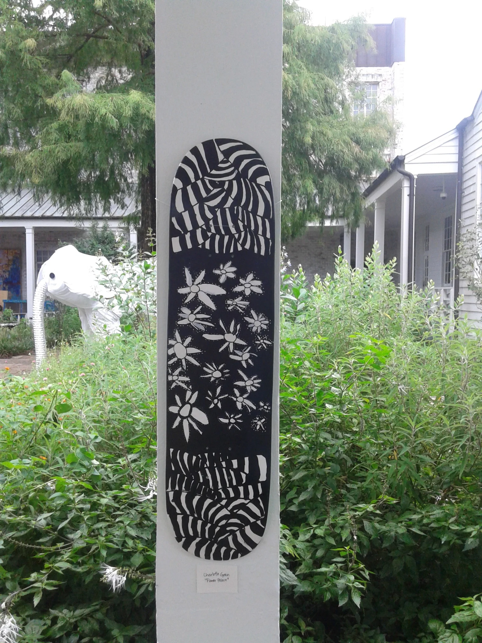 20160715_172545.jpg