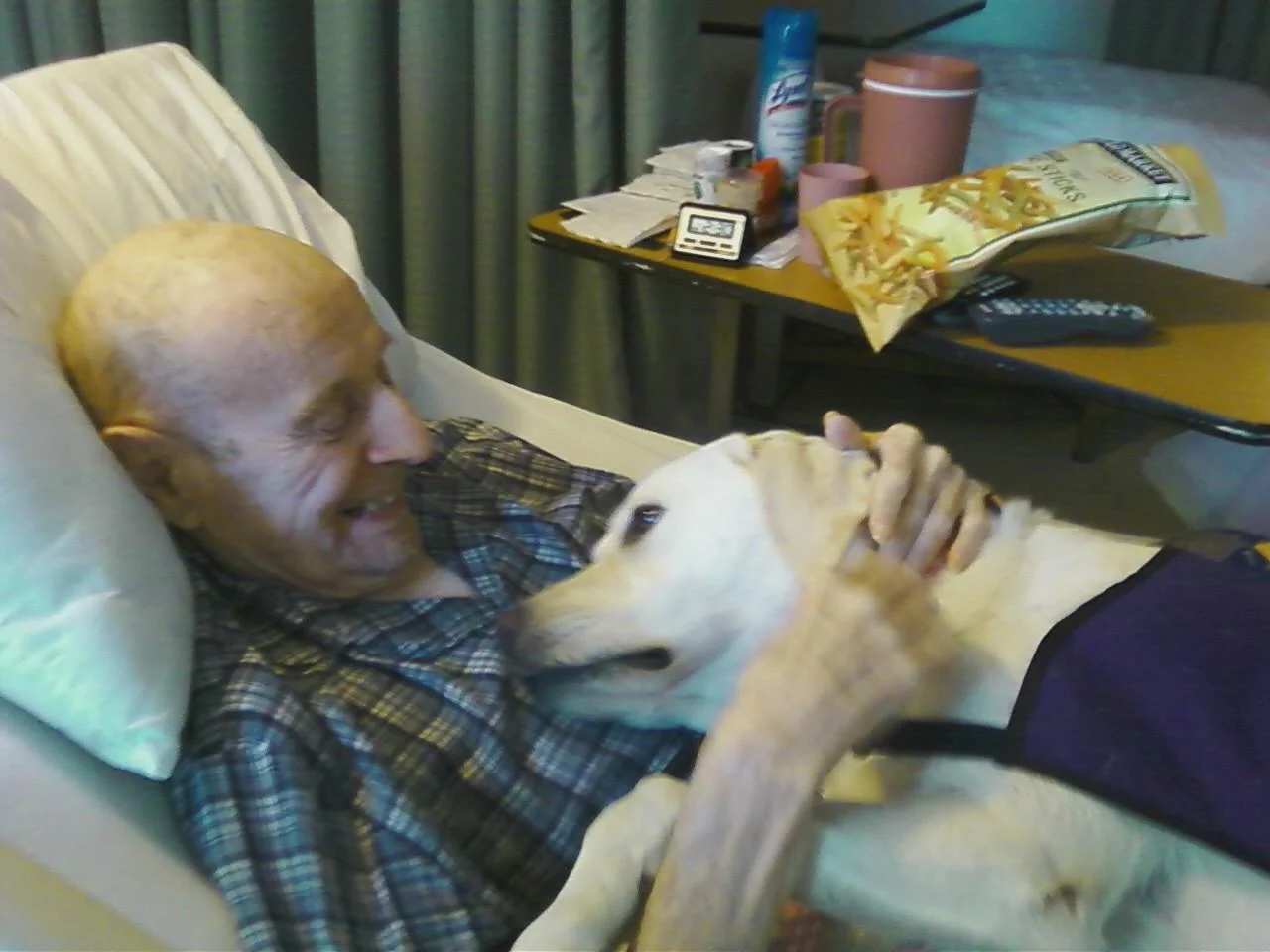 Stella service dog.JPG