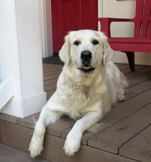 Bella porch C.jpg