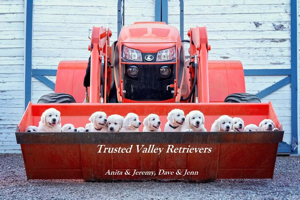 tractor card photo.jpg