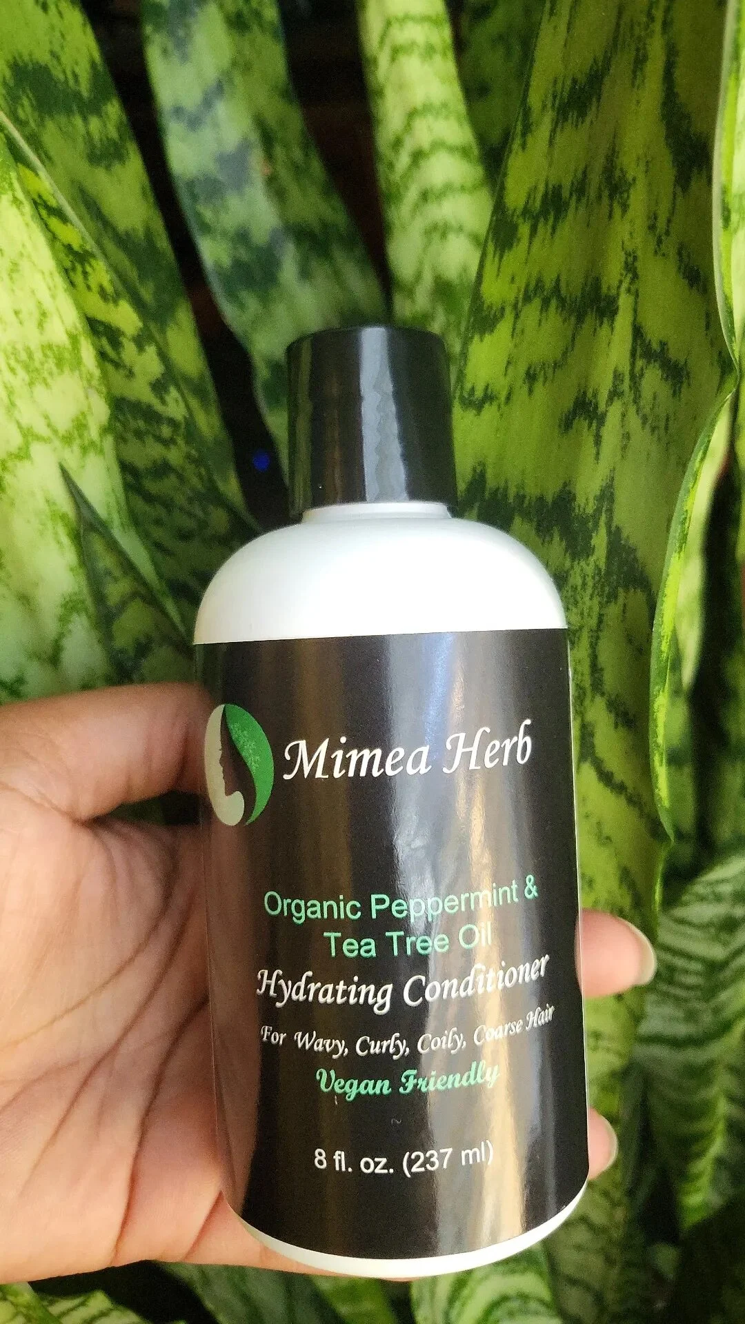 B02DA35D-BD33-413D-905E-5C4A4C8047EB