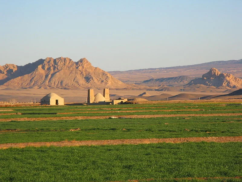 Industry Spotlight: Agriculture
