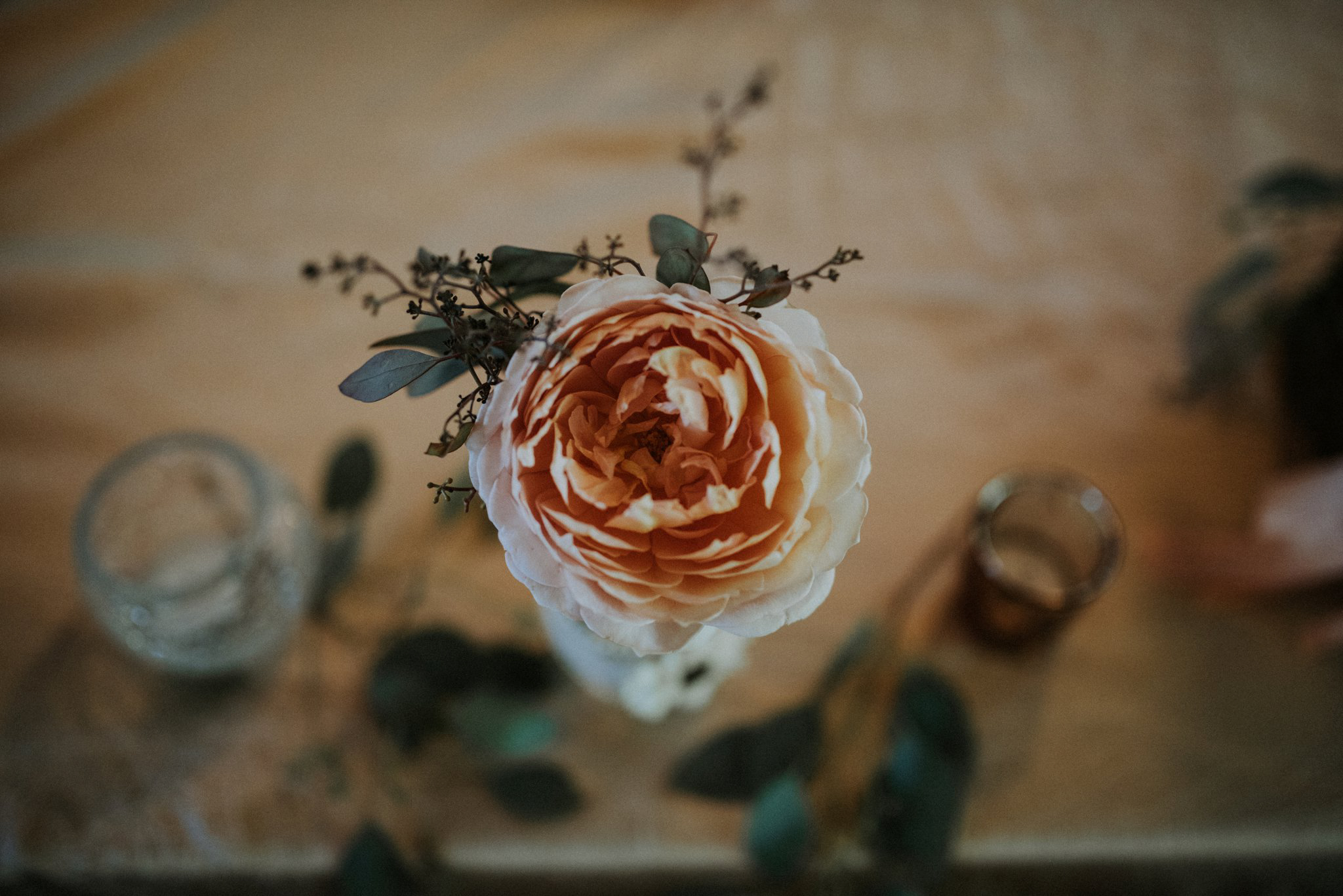 evergreen-gardens-bellingham-wedding-seattle-photographer-caitlyn-nikula-86.jpg