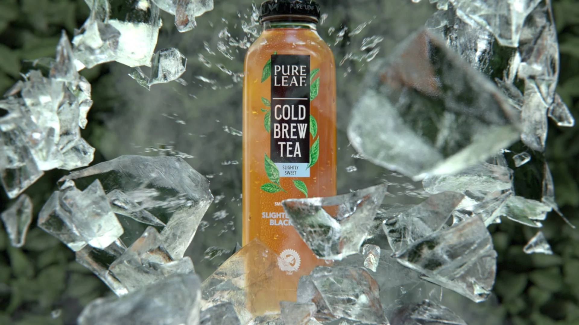 PURELEAF ICE TEA — X