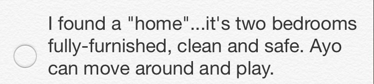These were some of the affirmations I put as reminders into my phone. 