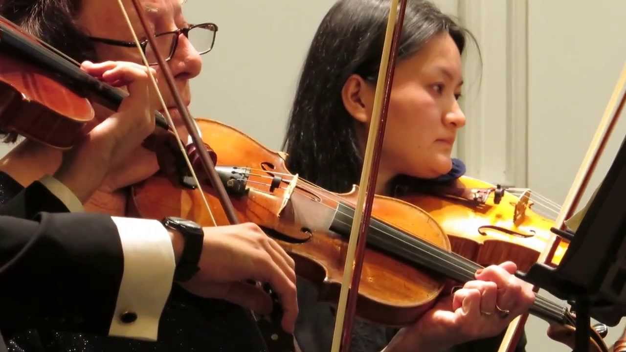 Violins-1.jpeg