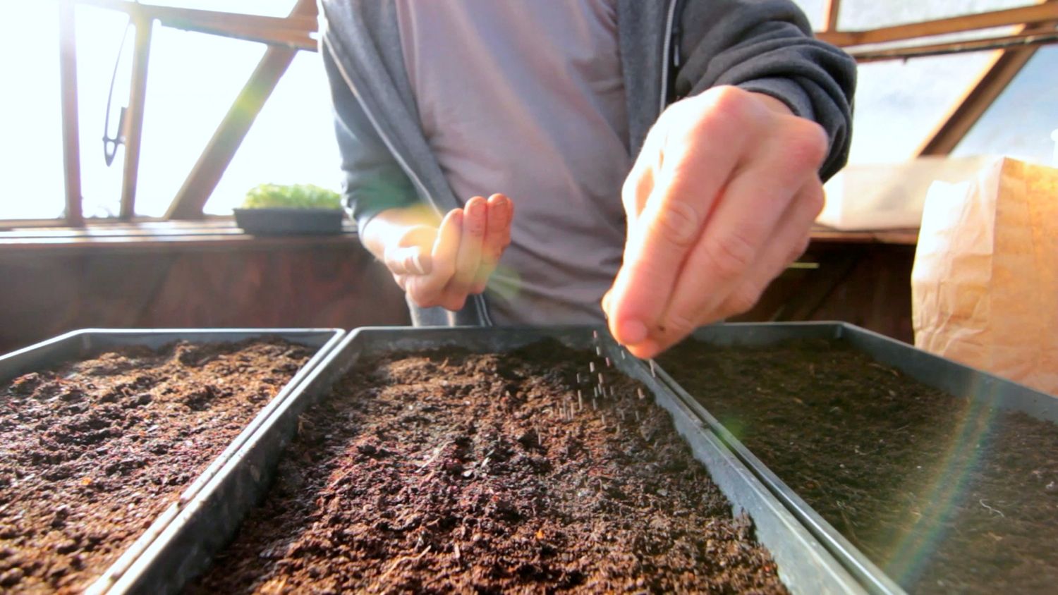 seeding.jpg