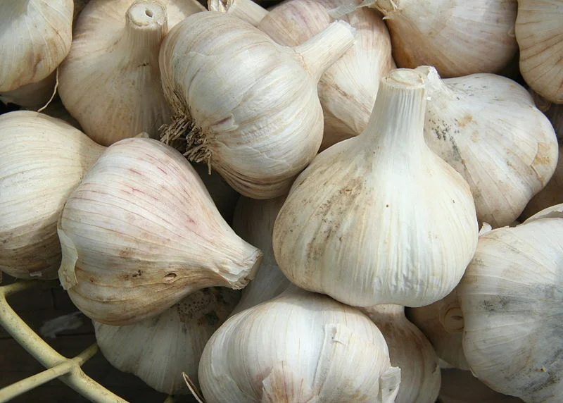 800px-GarlicBasket.jpg