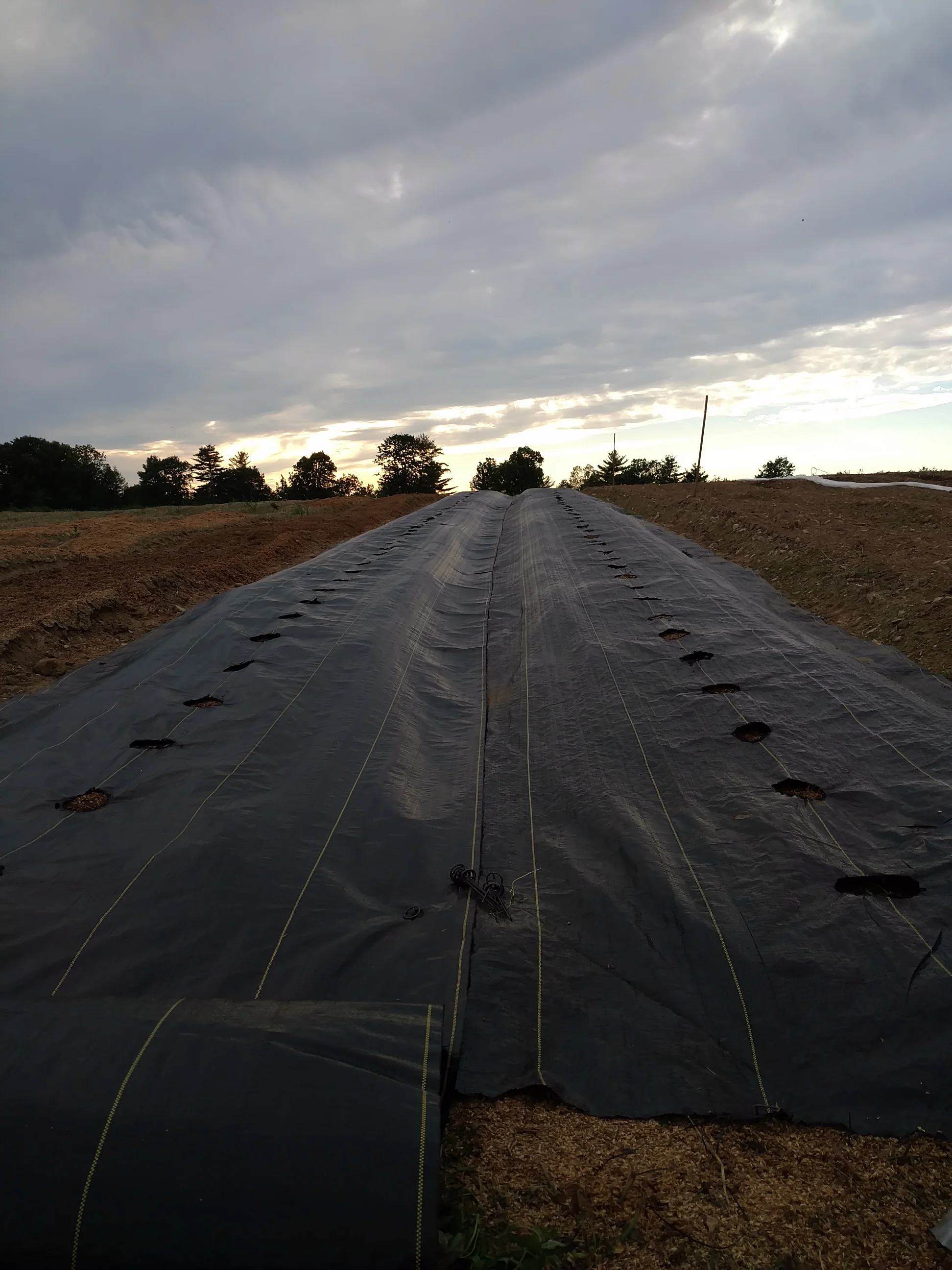 Landscape Fabric