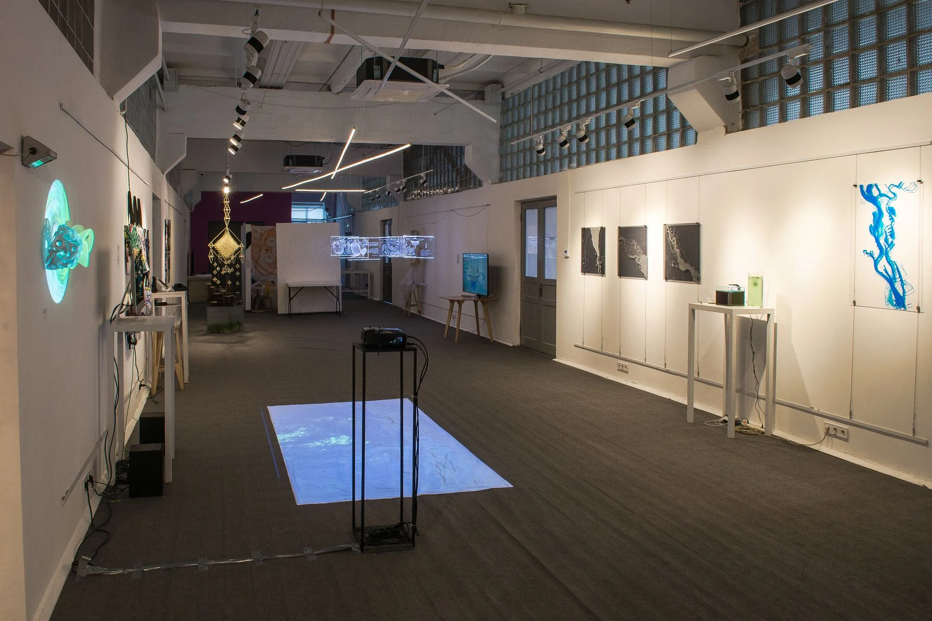 Emergent Tributaries (2018) Emergent Tributaries was an exhibition and culmination of an artist fellowship with the American Arts Incubator in Kyiv, Ukraine in partnership with IZOLYATSIA. It was an international cultural exchange initiative of the U.S. Department of State’s Bureau of Educational and Cultural Affairs that is administered by ZERO1. Shown at IZOLYATSIA