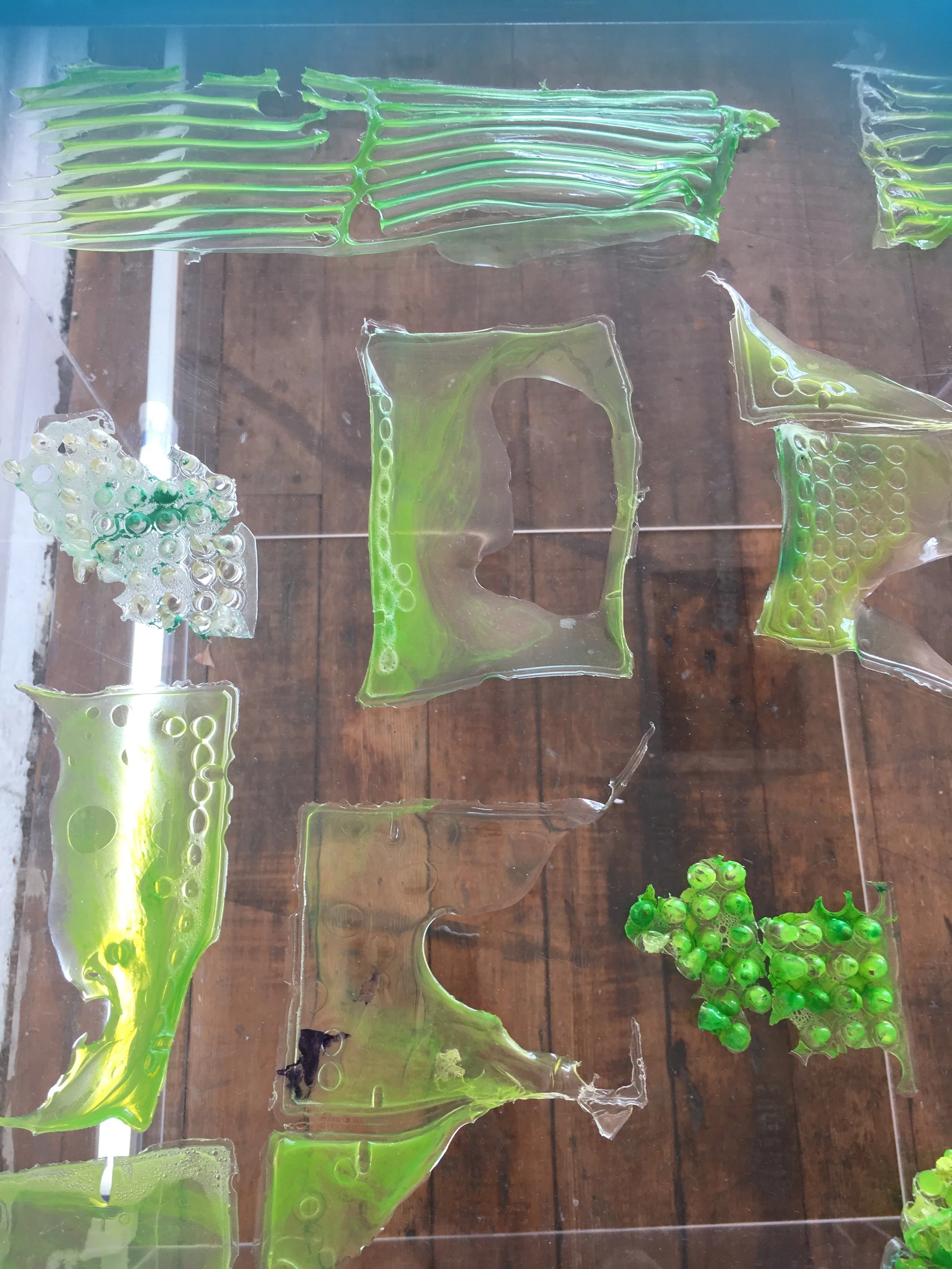 bioplastics_green.JPG