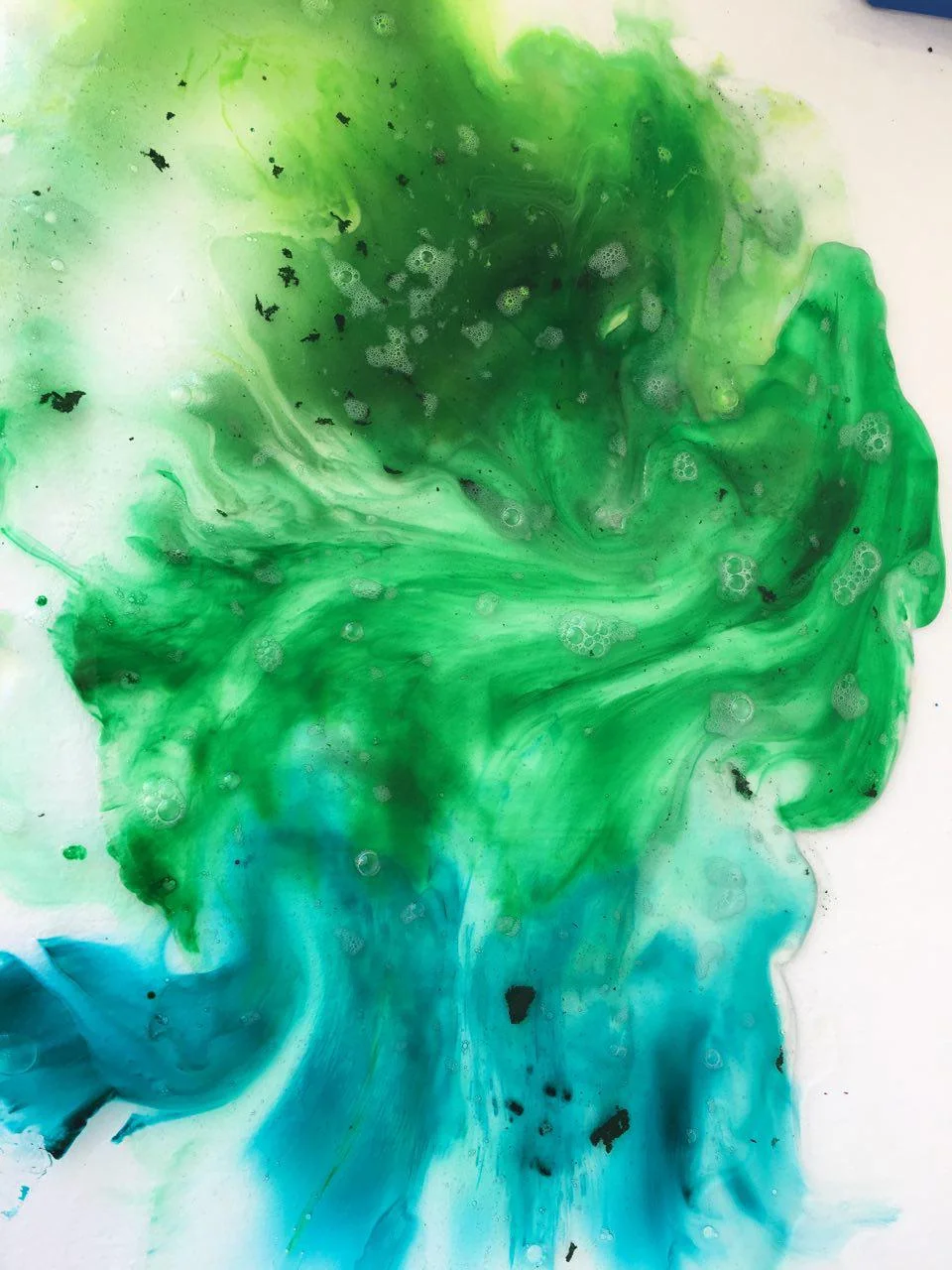 bioplastic with spirulina.jpg