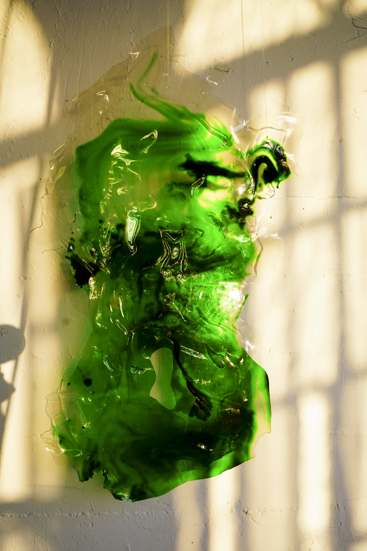 090118_CYANOVISIONS_DSC01657.jpg