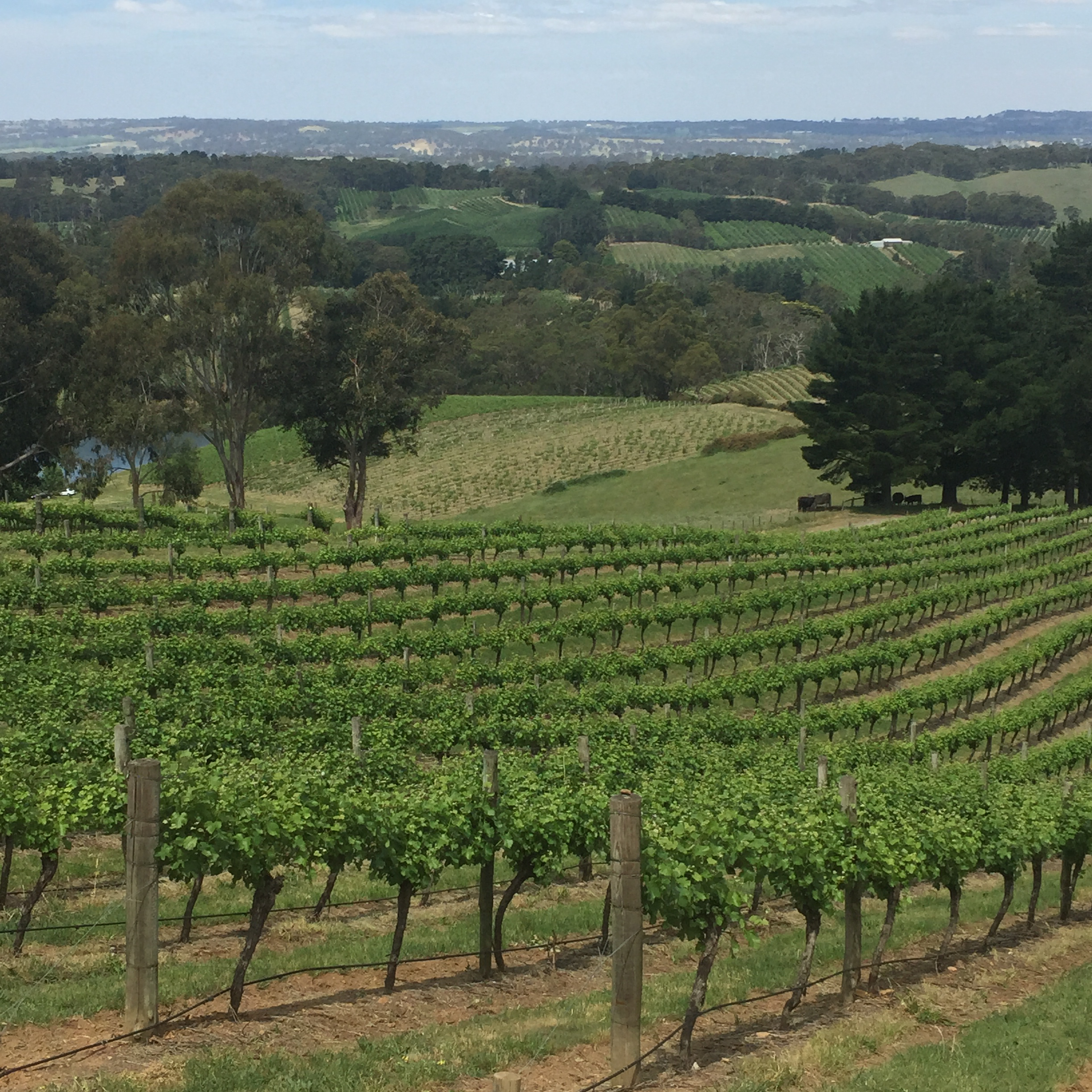 Pike &amp; Joyce Winery