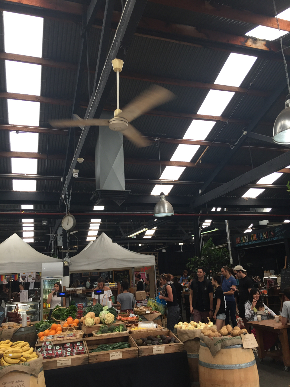 Market Shed on Holland Street - Sunday morning essential visit