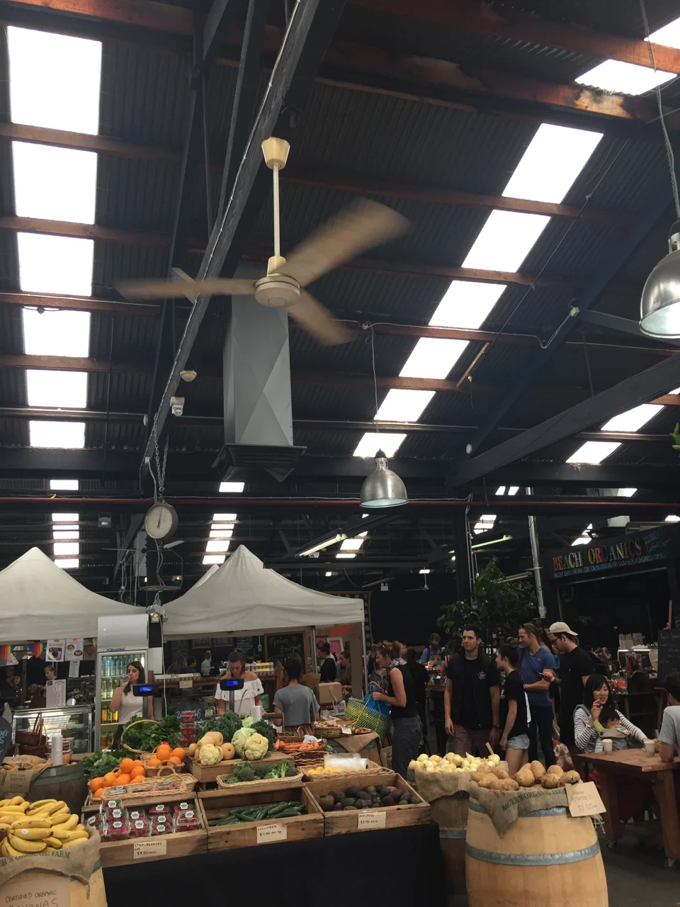 Market Shed on Holland Street - Sunday morning essential visit