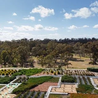 Australian Botanic Gardens Shepparton. Photo credit to @visitshepparton instagram