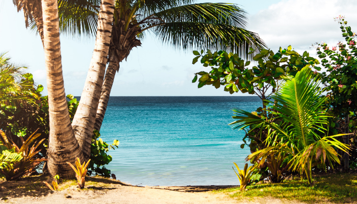 LINKEDIN FRIENDLY IMAGES - 2019-06-03T180536.298.png