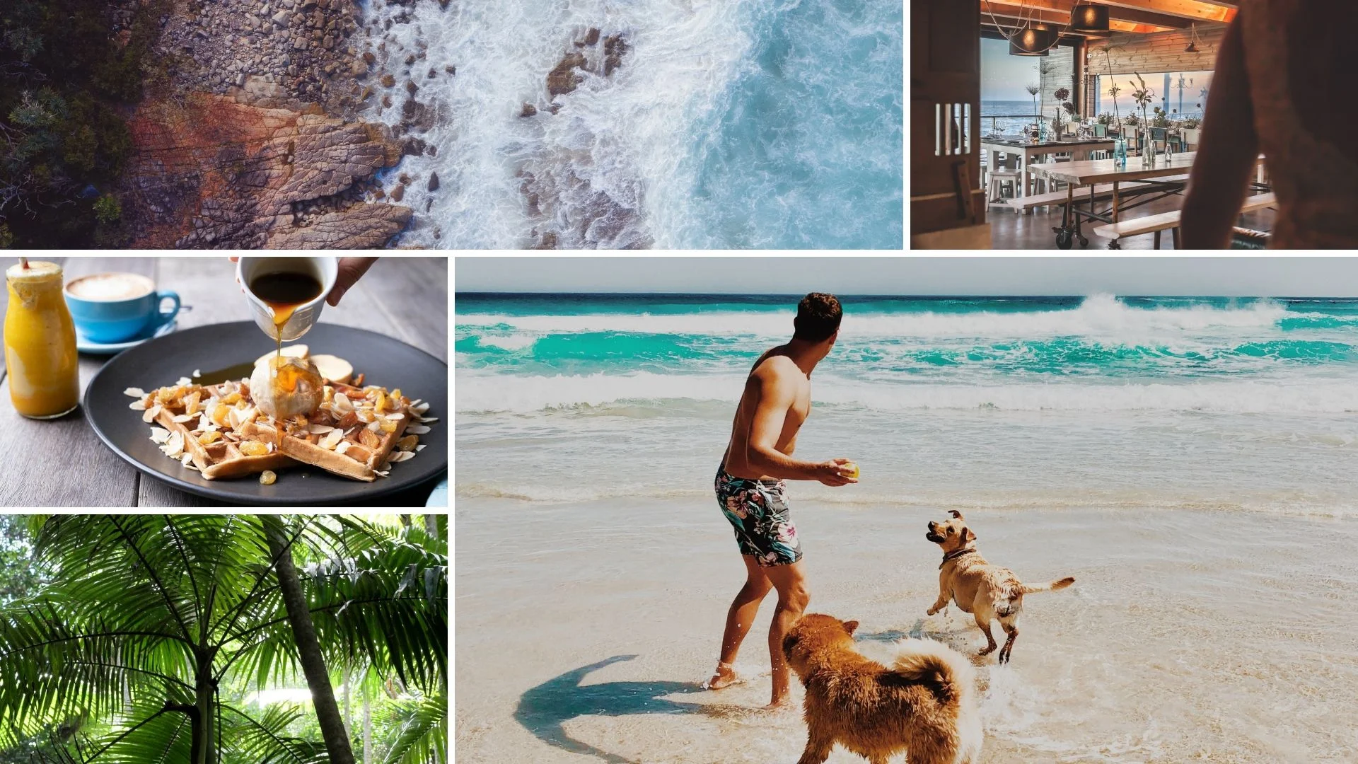 Noosa grid .jpg