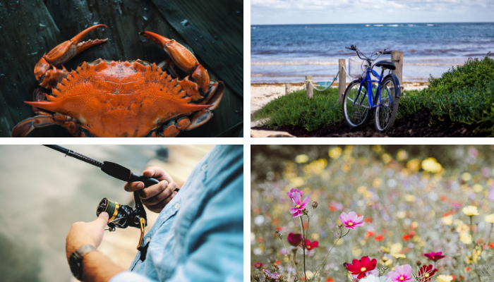 LINKEDIN FRIENDLY IMAGES - 2019-07-29T105934.396.png