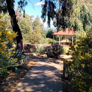 tamworth-botanical-gardens.jpg