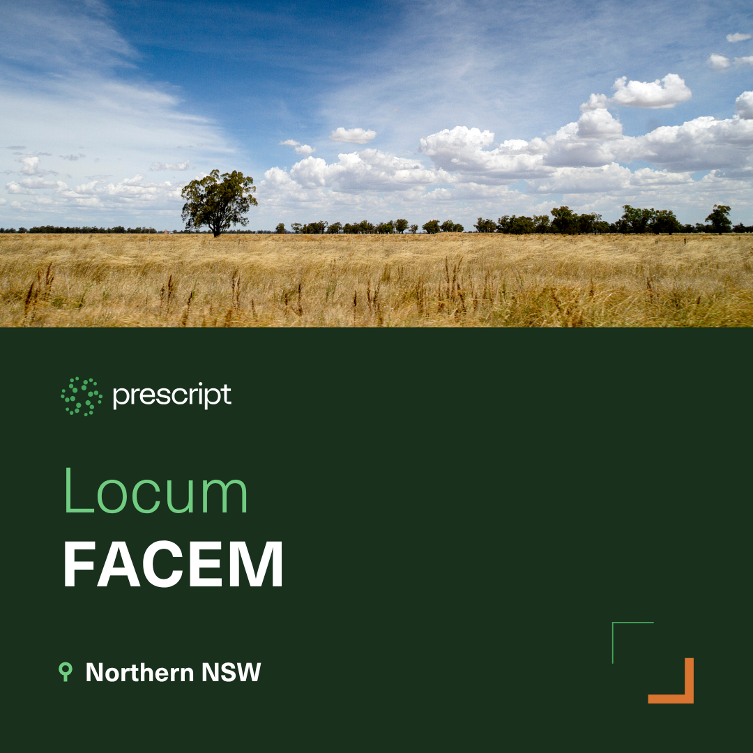 FACEM .png