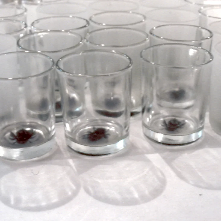 image: detail Clare Weeks Beehive liquid light on glass dimensions vairable