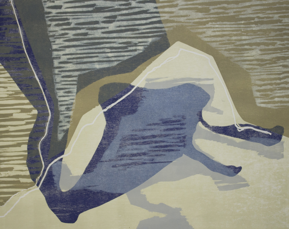 Parade #2 2015 5 colour woodcut on Hosho paper $480.00 framed 62.5 x 73cm (image 40 x 50cm) edition 1/2