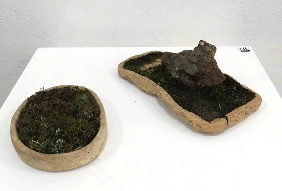Matthew Allam Nature's Reclamation #11 and Gold Stoneware with moss and Lichen - must be kept moist