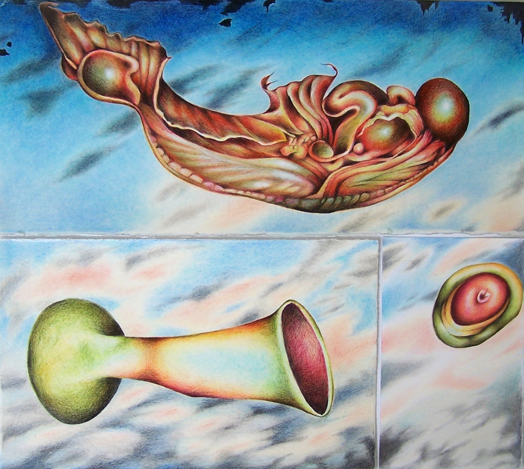 above: Susan Ryman below: Emma Warren 
