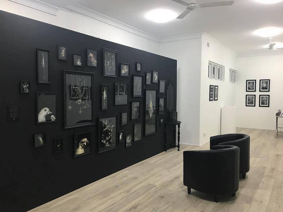 installation view