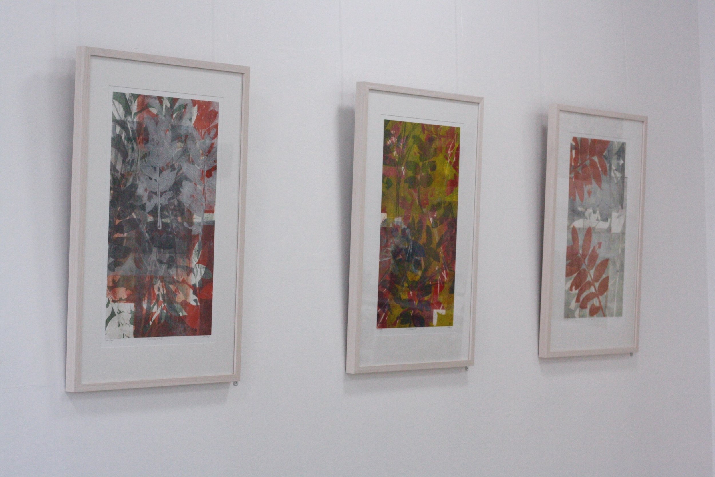 image: installation view of RED GOLD: THE CEDAR STORY by Gallery 139 Artist, Helene Leane 2017